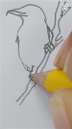 how to draw something beautiful and cute ✍️ #drawing #sketch #art #cute #simple #easy