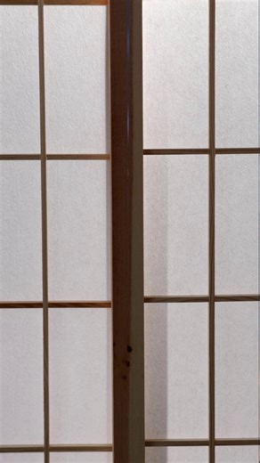 4K views · 63 reactions |  Discover the tranquility of Japan’s onsen...