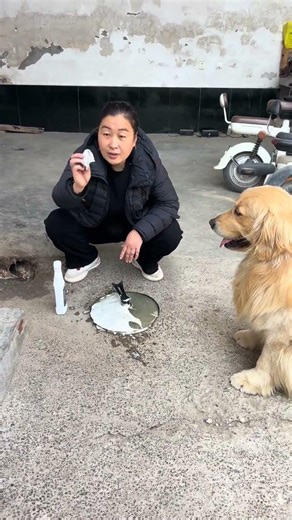 Unveiling the Mystery: What's This All About