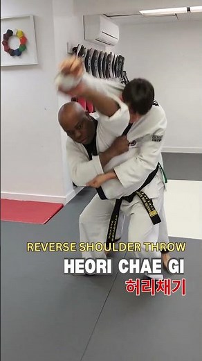 Hapkido Korean Terms for Judo throws #hapkido #judo #judotraining #martialarts #shortsvideo