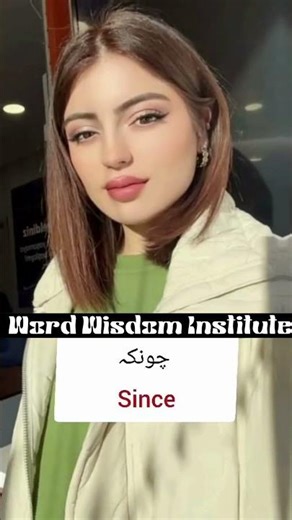 Whenever, Yet, Since, While, Neither with Urdu Translation | English Grammar with Examples