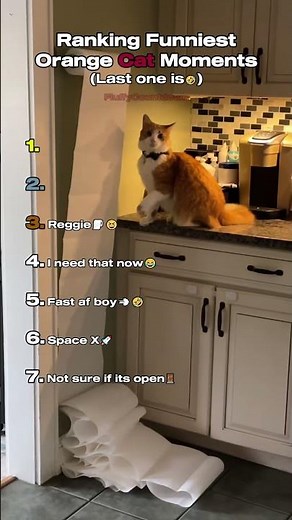 Top 7 Hilarious Orange Cat Moments! 🐱✨