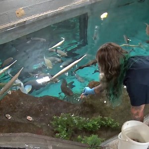 Here’s to the incredible zookeepers who work tirelessly around the clock to care for our animals, spark curiosity, and live our mission everyday- Inspire people to conserve wild things and wild places. 🦁🐧🐾💚 Happy Zookeeper Week! | Milwaukee County Zoo