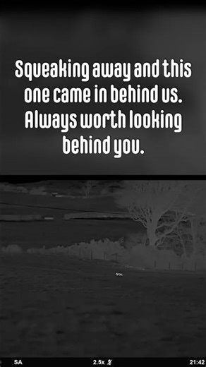 Foxing. Thermal and Night Vision #hunting #1fox