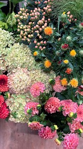 Wednesdays are for 4:30am ⏰, drive to Seattle, make the rounds to @northwest_wholesale_florists @seattlewholesalegrowersmarket @mayeshseattle and @floralsupplysyndicate to pick out flowers and pick up hard goods for the classes this Friday & Saturday at @fleurs.creative Back in the 🚙 to drive back to Snohomish, stop for a coffee, get to studio and process this week’s haul. Sometimes the music is playing and sometimes I spend the time on the phone catching up with flower friends. 20 years of thi