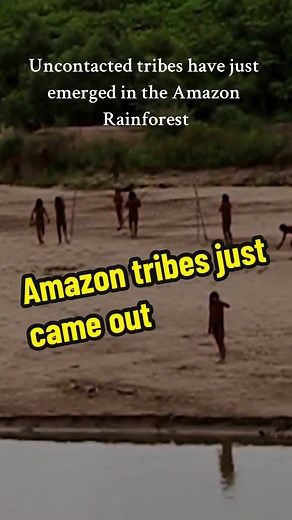 Mashco Piro Hunter-Gatherers: Remote Amazon Tribes' Bow and Arrows