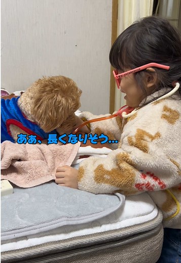 TikTokでちくわYOUTUBERさんをチェック！