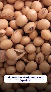 Are you planning to start a Bio Pellets or Briquettes Manufacturing Plant?