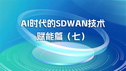 AI时代的SDWAN技术 赋能篇（七）