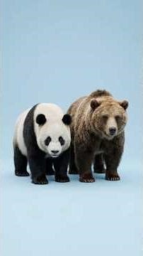 Panda + Other Bears… What Happens? | Arcane Mutation