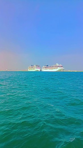 Exploring the MSC Cruise Ship Experience