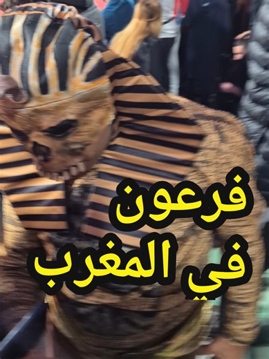 الفرعون المصري في المغرب 🇪🇬🇲🇦 #مصر #المغرب #egypt #morroco