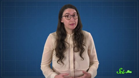 Can you really get pregnant while already pregnant? | Superfetation explained