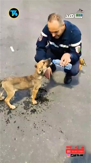 تحية تقدير لرجال الحماية المدنية الجزائرية 🧑‍🚒🤝 اللهم احفظهم و احفظ بلادنا من كل فتن 🇩🇿