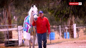 42K views · 1.7K reactions | “You wouldn’t get a better bond between human and beast.” Subbie and Graham Salisbury were always there for each other throughout each of their health battles. | Racing.com | Facebook