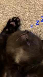 37K views · 2.3K reactions | An Instagram video for the #classof2022 using an extract from my Make Good Art speech. (Play it with the sound on. It's only 60 seconds.) | Neil Gaiman | Facebook