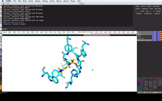 Pymo软件教程-如何仅使用序列信息在几分钟内找到大分子活性位点