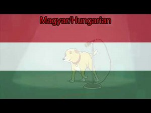 Happy birthday to Pui Fan Lee (aka Po from the Teletubbies)