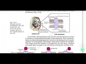 NCERT 12th Chemistry in Everyday life Audio visual video for visually impaired students