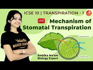 Transpiration Class 10 ICSE | Mechanism of Stomatal Transpiration | ICSE Biology | Vedantu Class 10