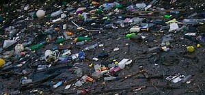 Plastic pollution in oceans can't be solved with a gadget