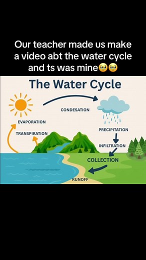 Water Cycle Explained: Evaporation, Condensation, Precipitation (Student Project)