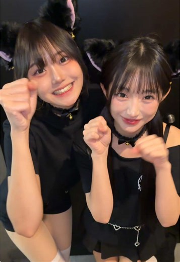 黒猫ちゃんの発見と可愛さ🐈‍⬛