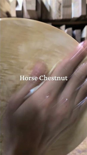 Oil Finishing a Figured Japanese Horse Chestnut Slab! #woodworking #diy #shorts