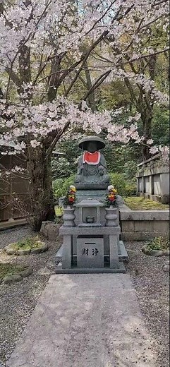 奈良「長谷寺」桜が彩る古刹