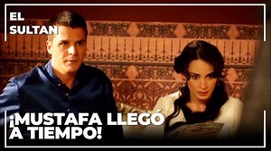 713K views · 10K reactions | Siglo Magnífico,es una serie de televisión de historia y ficción de fabricación turca producida por Tims Productions. La serie se basa principalmente en la vida del Kanuni Sultán Suleiman y La Sultana Hurrem, la lucha del trono por los hijos de La Sultana Hurrem y la vida del palacio. | El Sultán | Facebook