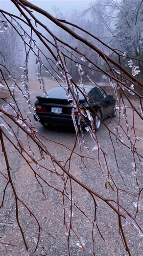 Exploring the World of Porsche: 944 and Speedster Models