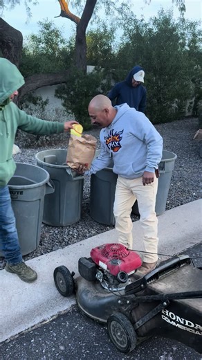 Landscaping Maintenance Tips for a Thriving Garden