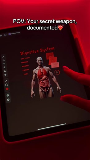 Notes that draw themselves into your memory 💕 App: ZoomArt💖 #notetaking #ipadapps #notesapp #notes #goodnotes AnatomyNotes MedSchool Biology PreMed MedicalArt ScienceNotes StudyAnatomy MedStudent DigitalNotes Notability GoodNotes SkeletalSystem MuscularSystem NervousSystem Cardiovascular RespiratorySystem DigestiveSystem EndocrineSystem LymphaticSystem ReproductiveSystem UrinarySystem Neuroanatomy HeadAndNeck ThoraxAnatomy AbdominalAnatomy UpperLimb LowerLimb BackAnatomy GrossAnatomy AnatomyDr