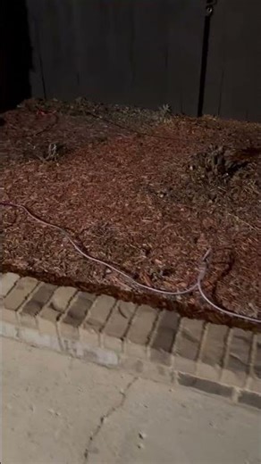 2026 Chevy Silverado update on diesel warmer for 9 degree temps #shorts #automobile #funny