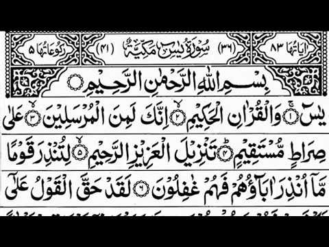 Surah Yasin (Yaseen) Full | Best Quran | Recitation | Part 240