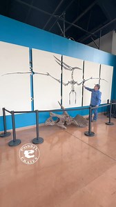 91K views · 3.7K reactions | Three #Pteranodon, One video Pteranodon...