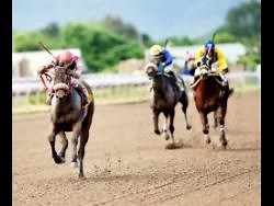 A magnificent run - Maneater gobbles them up in Diamond Mile