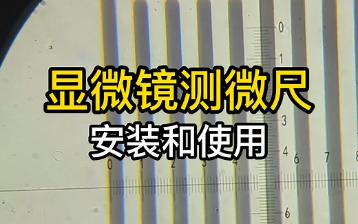 怎样在显微镜下量尺寸？- 普通光学显微镜测微尺的安装和使用