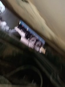 U Nião Q Uatro Patas on Reels