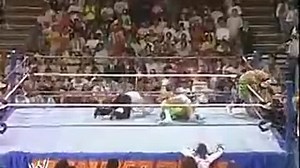 SummerSlam 1989