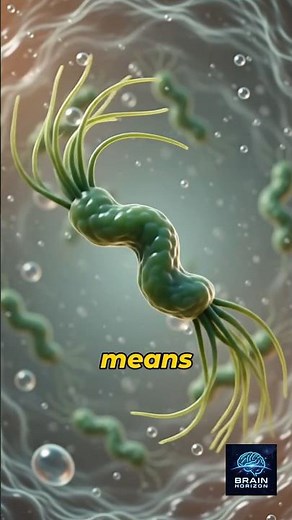 The Spiral Bug That Lives in Your Stomach: Meet H. Pylori!