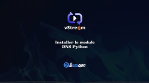 Module DNS Python