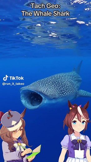 Exploring the Majestic Whale Shark