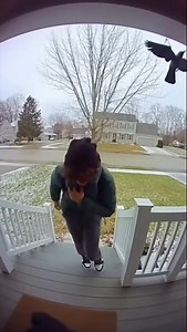 I learned the hard way why front doors are dangerous 😂 #funny #funnyvideos #pranks #reaction #fail | OwelleHotspots