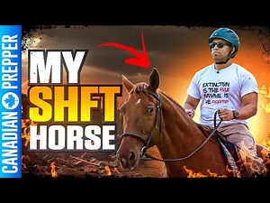 The Best Prepper Bugout Vehicle: The Horse