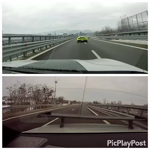 Marco Cane su TikTok