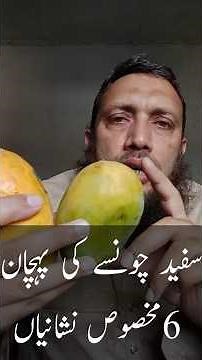 How to Identify Original White Chaunsa Mango | 6 Easy Signs You Must Know