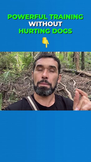 2.5K views · 37 reactions | Successful results without the need to shout at or hurt your dog? Timeouts can do that! #dogtrainer #dogtrainer #timeouts #dogtimeouts #dogcare | Doggy Dan | Facebook