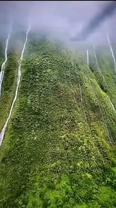 🌧️ Welcome to Mount Waialeale, the wettest place in the world! 🏞️ This stunning peak on the Hawaiian island of Kauai receives over 450 inches of rainfall annually, creating lush landscapes and breathtaking views. 🍃 If you're a fan of nature's wonders or a hiking lover, this site is a must-see! 🎥 huangxmlzyy #100polynesian #kauai #hawaii #mountwaialeale | 100% Pasifika