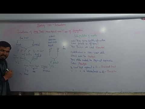 L 2 Updated inheritance of single trait, monohybrid cross and law of segregation